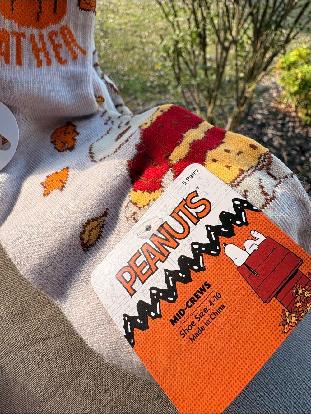 Peanuts Snoopy Mid-Crew Bundle of 5 Pairs of Fall Themed Graphic Design Socks - Picture 3 of 11